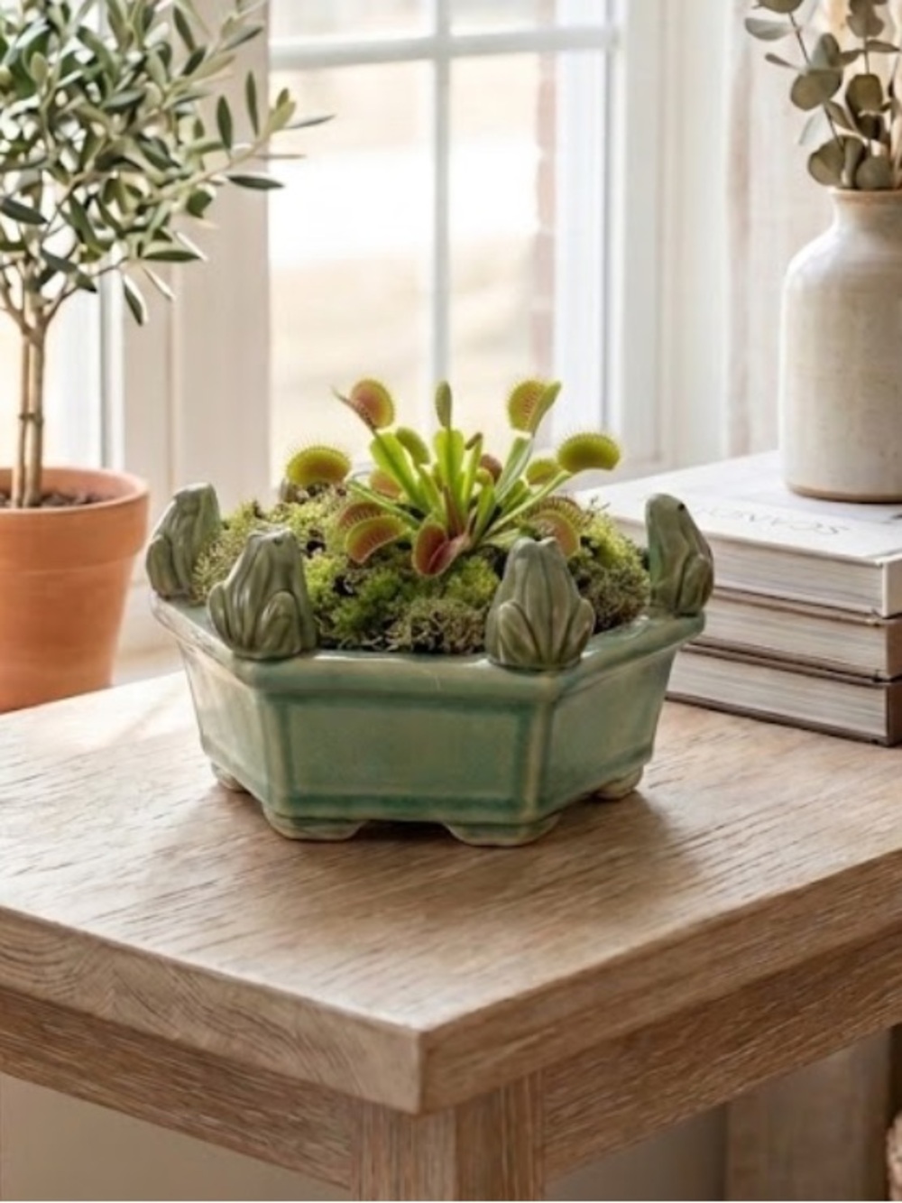 Vintage Ceramic Frog Planter/Bowl